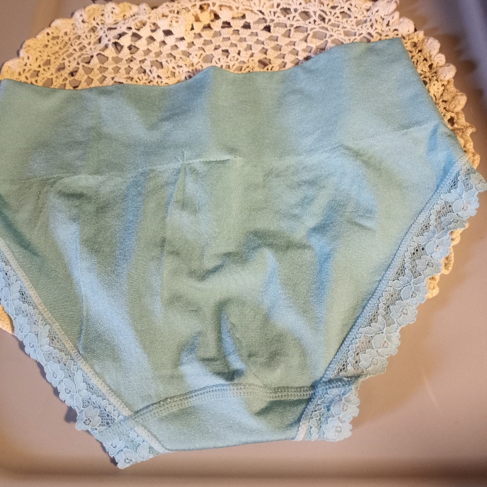 Secret Treasures Women's Wideband Brief Panty Underwear Intimates, Blue Aqua Med